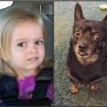 Parecidos razonables: Chloe y perrito